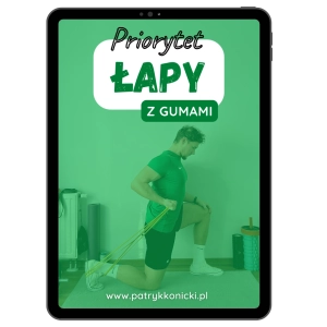 Plan dla mężczyzn z gumami (łapy) fbw/push-pull